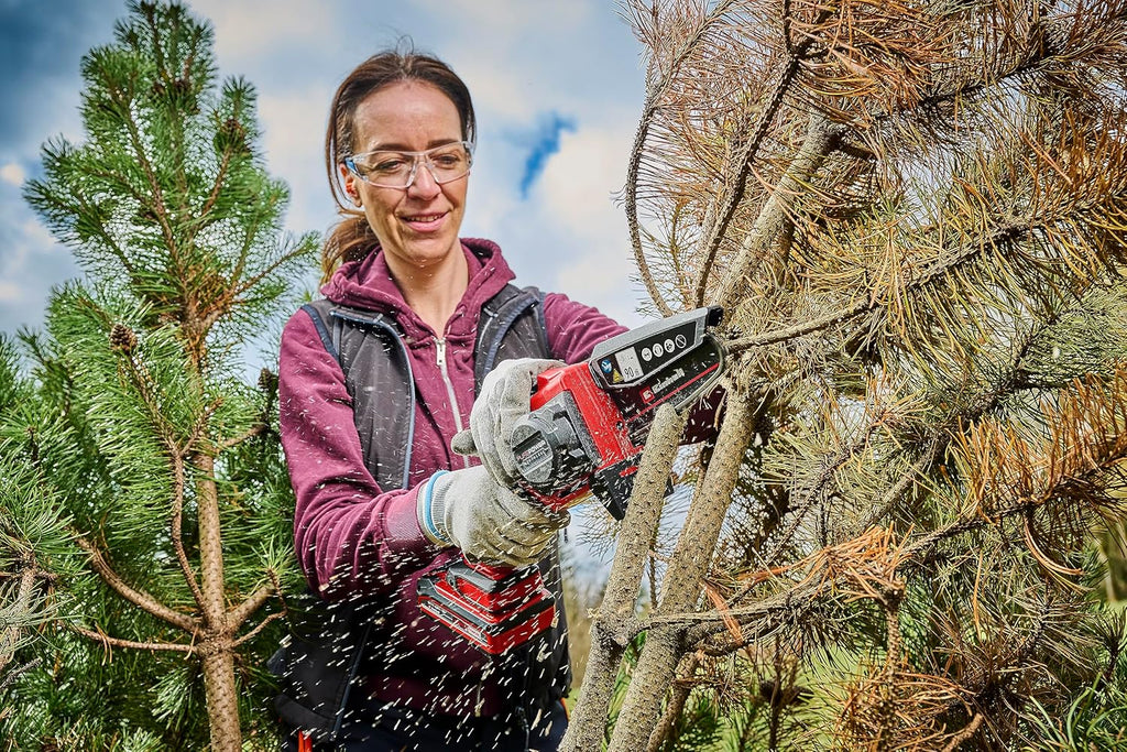 Einhell Akku-Astkettensäge GE-PS 18/15 Li BL Kit Power X-Change (18 V, Brushless, 12,5 cm Schnittlänge, werkzeugloser Schwert-/Kettenwechsel, inkl. 2,5 Ah Akku, Ladegerät, E-Case S-F)
