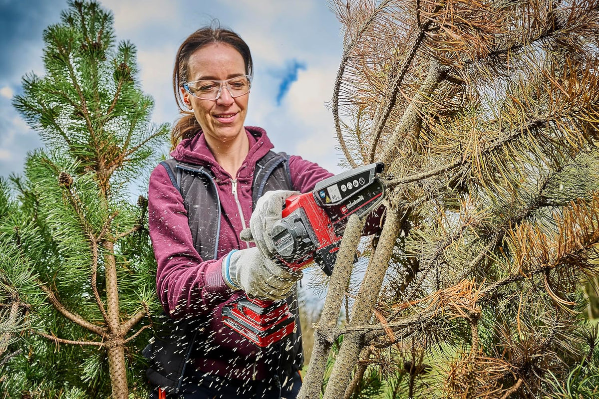 Einhell Akku-Astkettensäge GE-PS 18/15 Li BL Kit Power X-Change (18 V, Brushless, 12,5 cm Schnittlänge, werkzeugloser Schwert-/Kettenwechsel, inkl. 2,5 Ah Akku, Ladegerät, E-Case S-F)